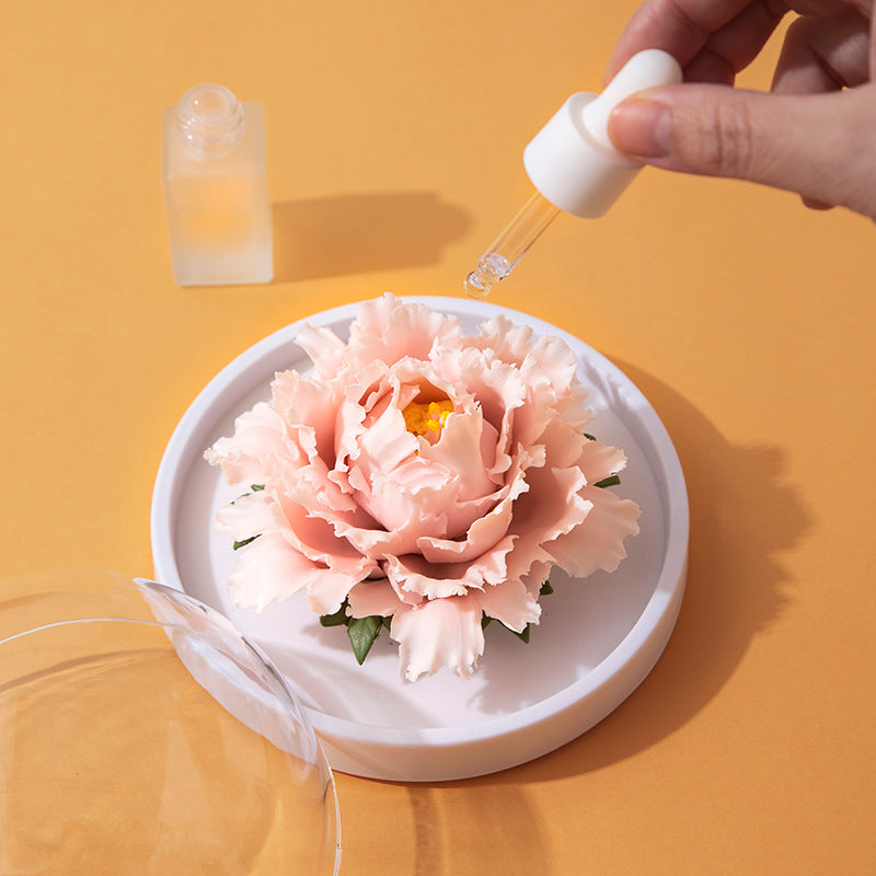 Ceramic Aromatherapy Tea Porcelain Flower 2025 Event Spring Festival Accompanying Gift Business Gift Suit Gift Box Crafts