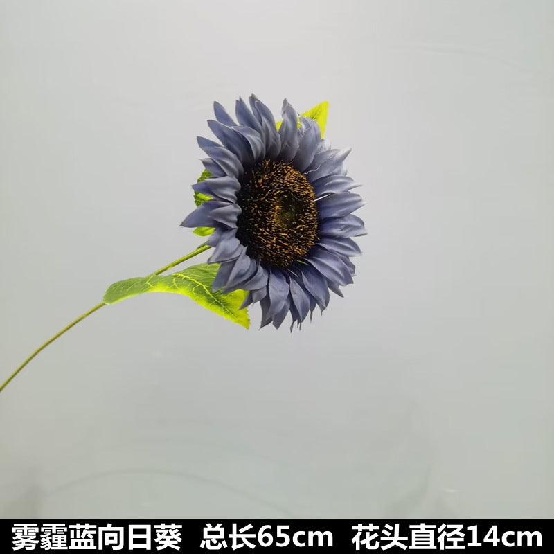 4890174228098