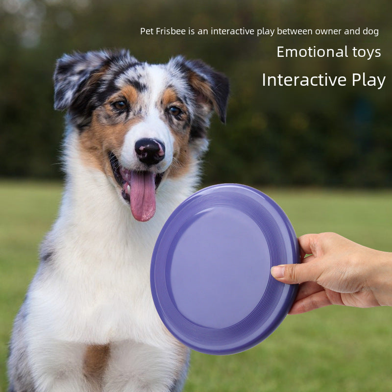 Pet Toy Dog Frisbee Pet Interactive Training Frisbee Floating Water Bite Resistant Frisbee Pet Supplies Dog Toy