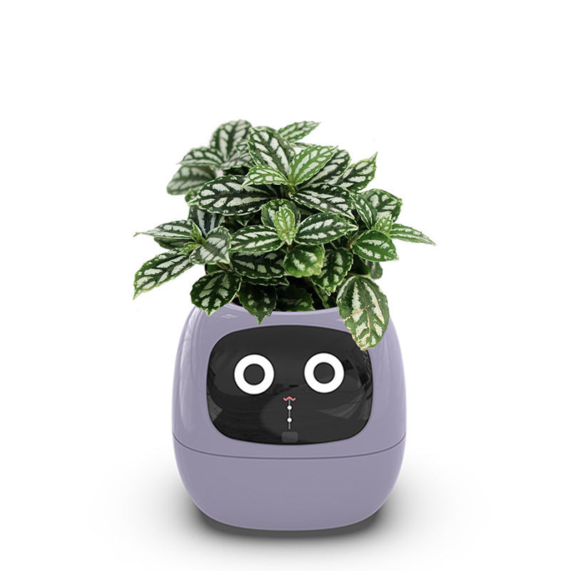 Intelligent Lazy Man Automatic Water Absorbent Flower Pot Plastic Resin Round USB Rechargeable Indoor Plant Small Flower Pot