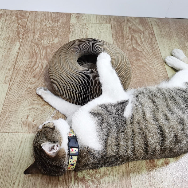 Explosions Source Manufacturers New Products Magic Organ Cat Scratch Board Cat Toy With Bell Cat Scratch Toy Spot