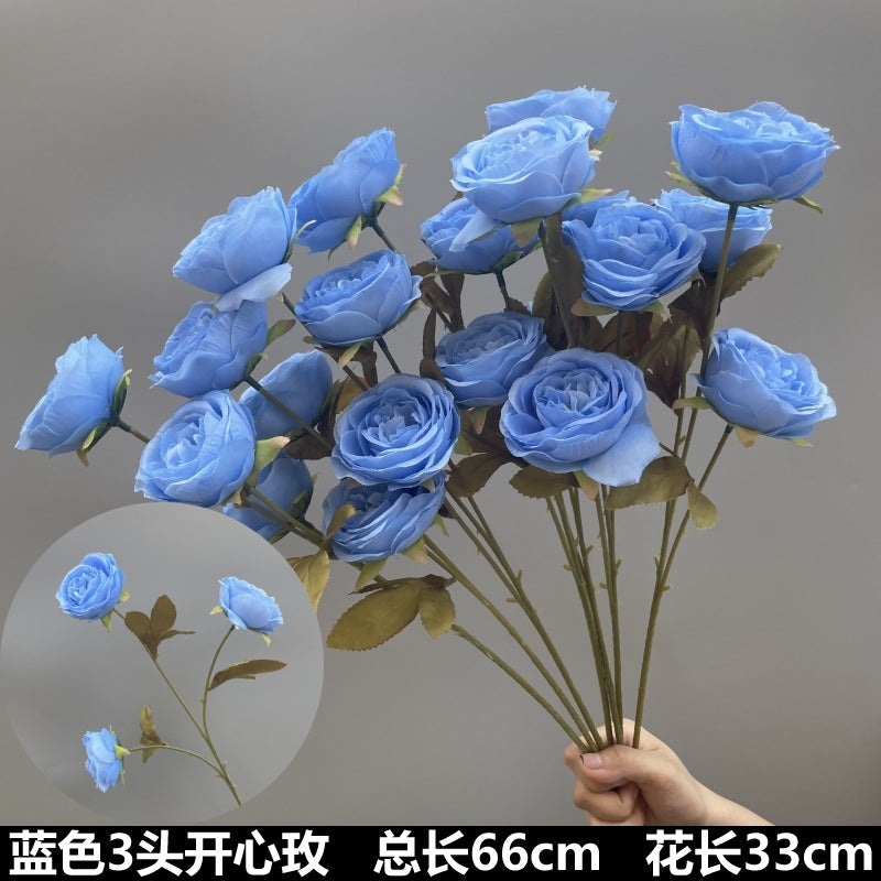 4890174228128