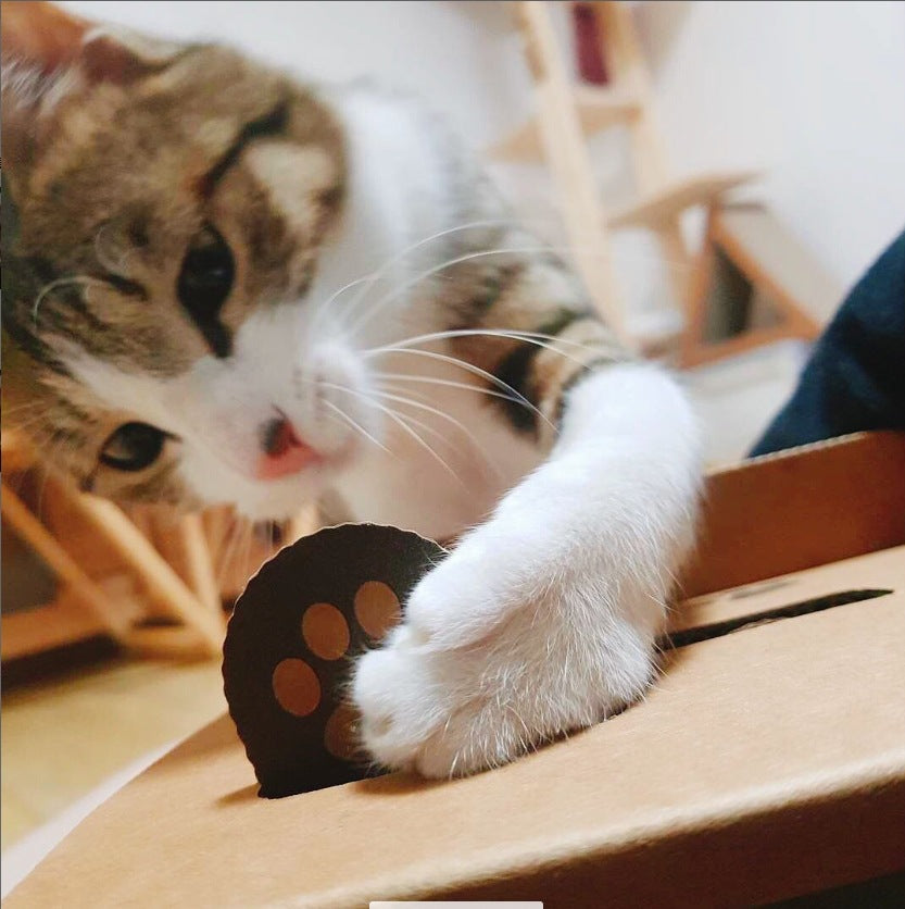 Internet Red Products Hit The Gopher Interactive Toy Cat Toy