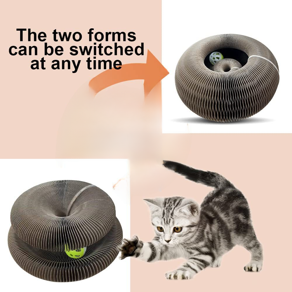 Explosions Source Manufacturers New Products Magic Organ Cat Scratch Board Cat Toy With Bell Cat Scratch Toy Spot