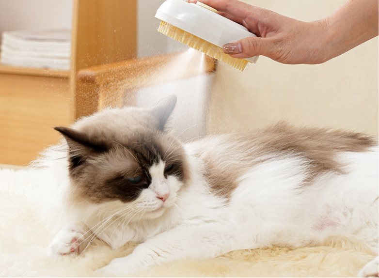 Pet Cat Dog Essence Spray Brush Cat Dog Electric Artifact Charging Hair Comb Floating Hair Removal Comb