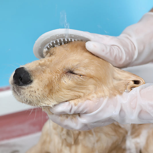 Pet Brush Cat Dog Brush Pet Puppy Cat Massage Brush Dog Massage Bath Wash-free Cleaning Gloves
