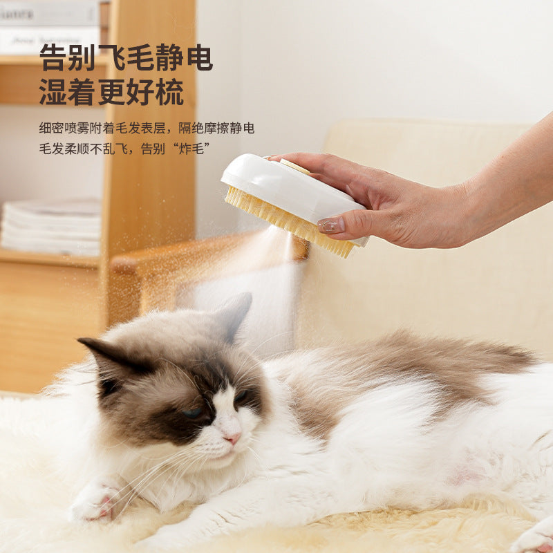 Pet Cat Dog Essence Spray Brush Cat Dog Electric Artifact Charging Hair Comb Floating Hair Removal Comb