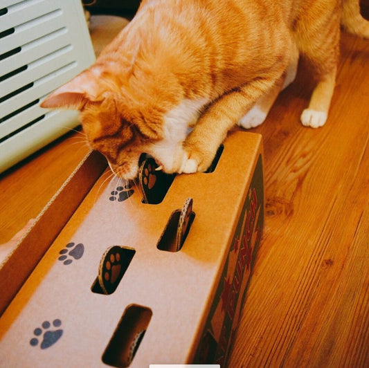 Internet Red Products Hit The Gopher Interactive Toy Cat Toy